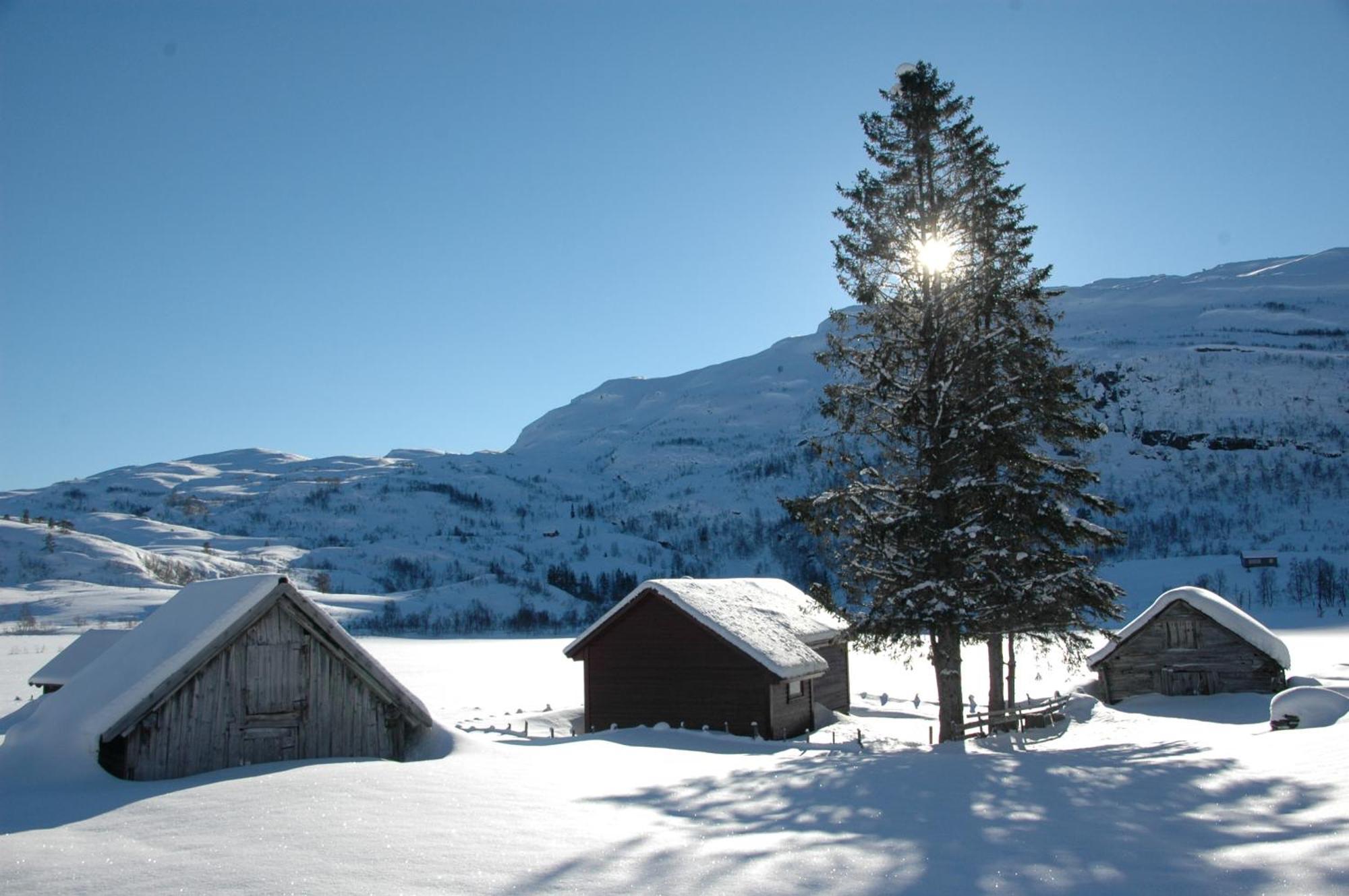 Voss Lodge Rongastovo المظهر الخارجي الصورة